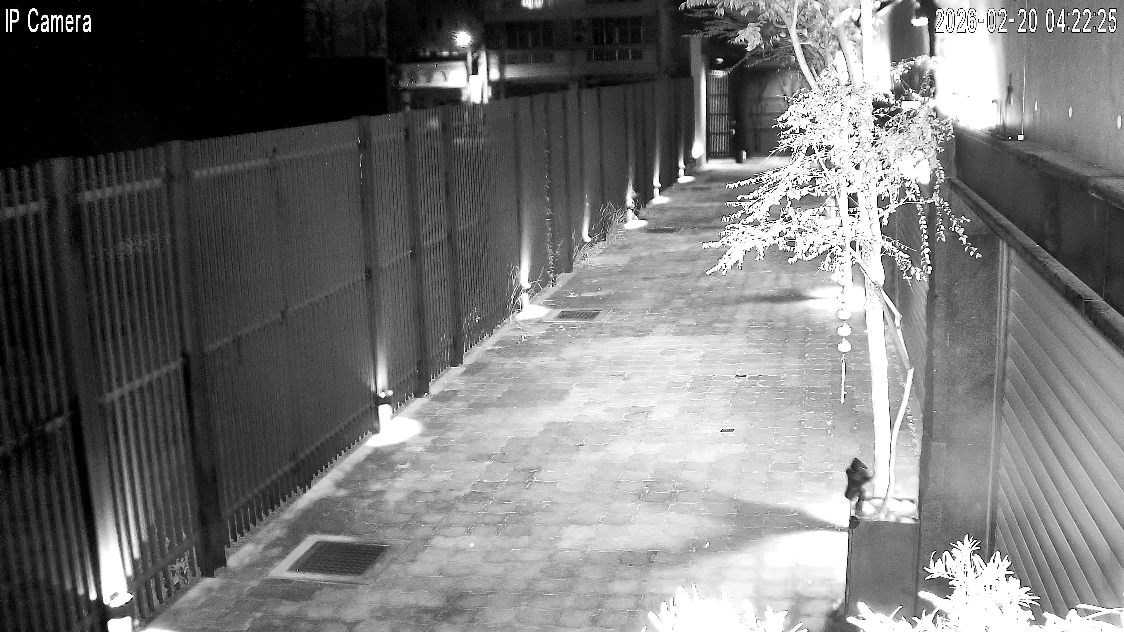 Camera in Taiwan