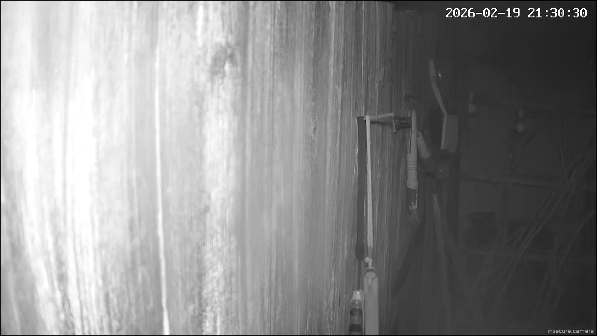 Capture from Feb 19, 2026 at 08:30 PM