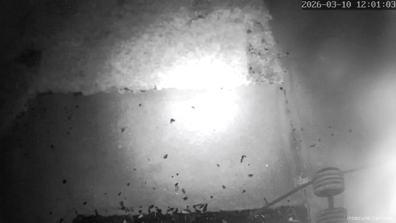 Capture from Mar 10, 2026 at 04:01 AM