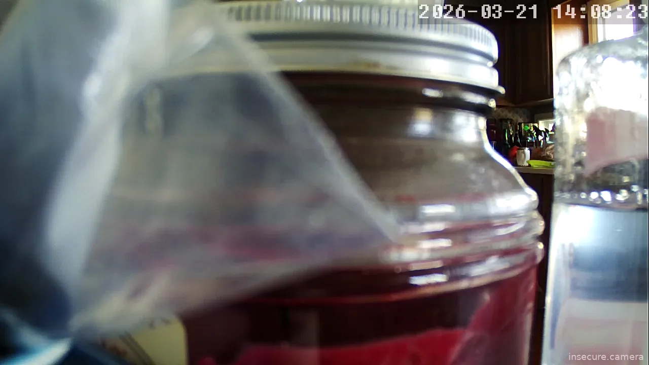 Camera in United States