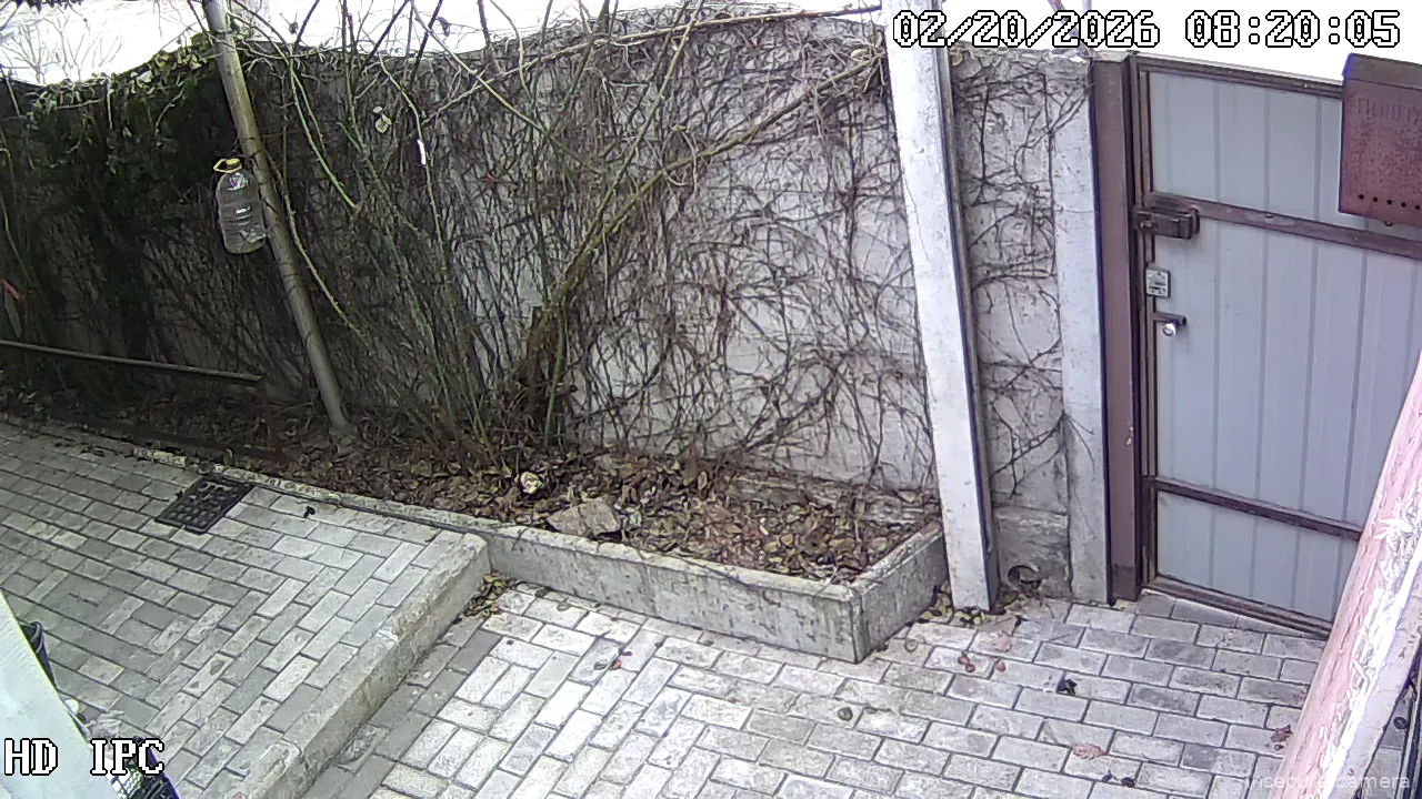 Capture from Feb 20, 2026 at 06:20 AM