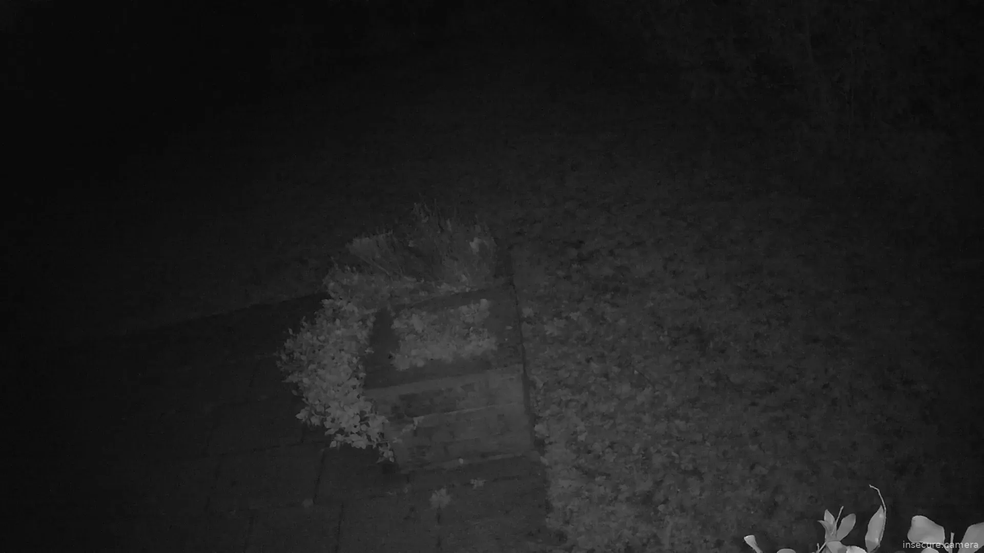 Capture from Feb 27, 2026 at 04:59 AM