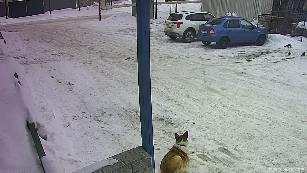 Capture from Feb 28, 2026 at 04:59 AM