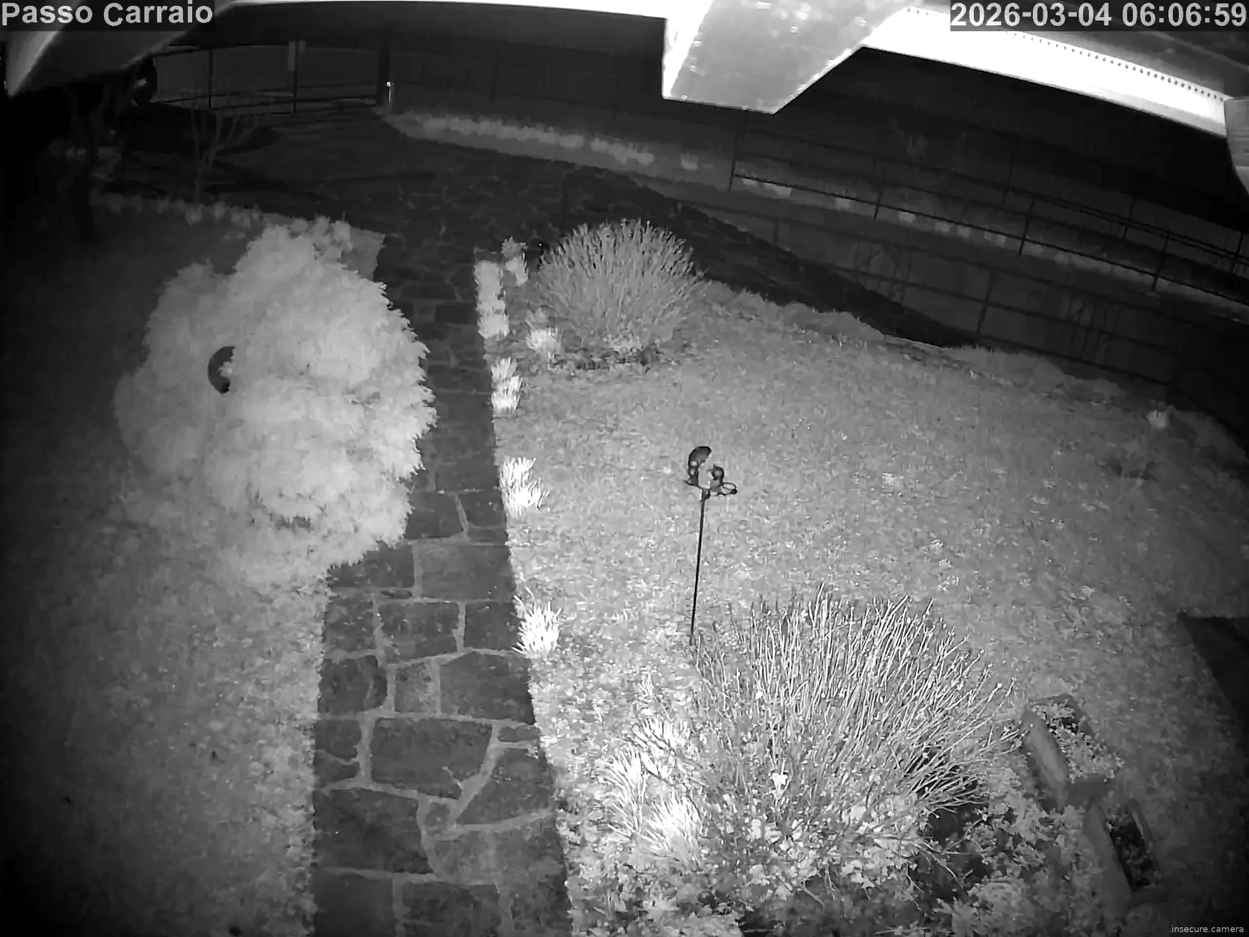 Capture from Mar 04, 2026 at 05:07 AM