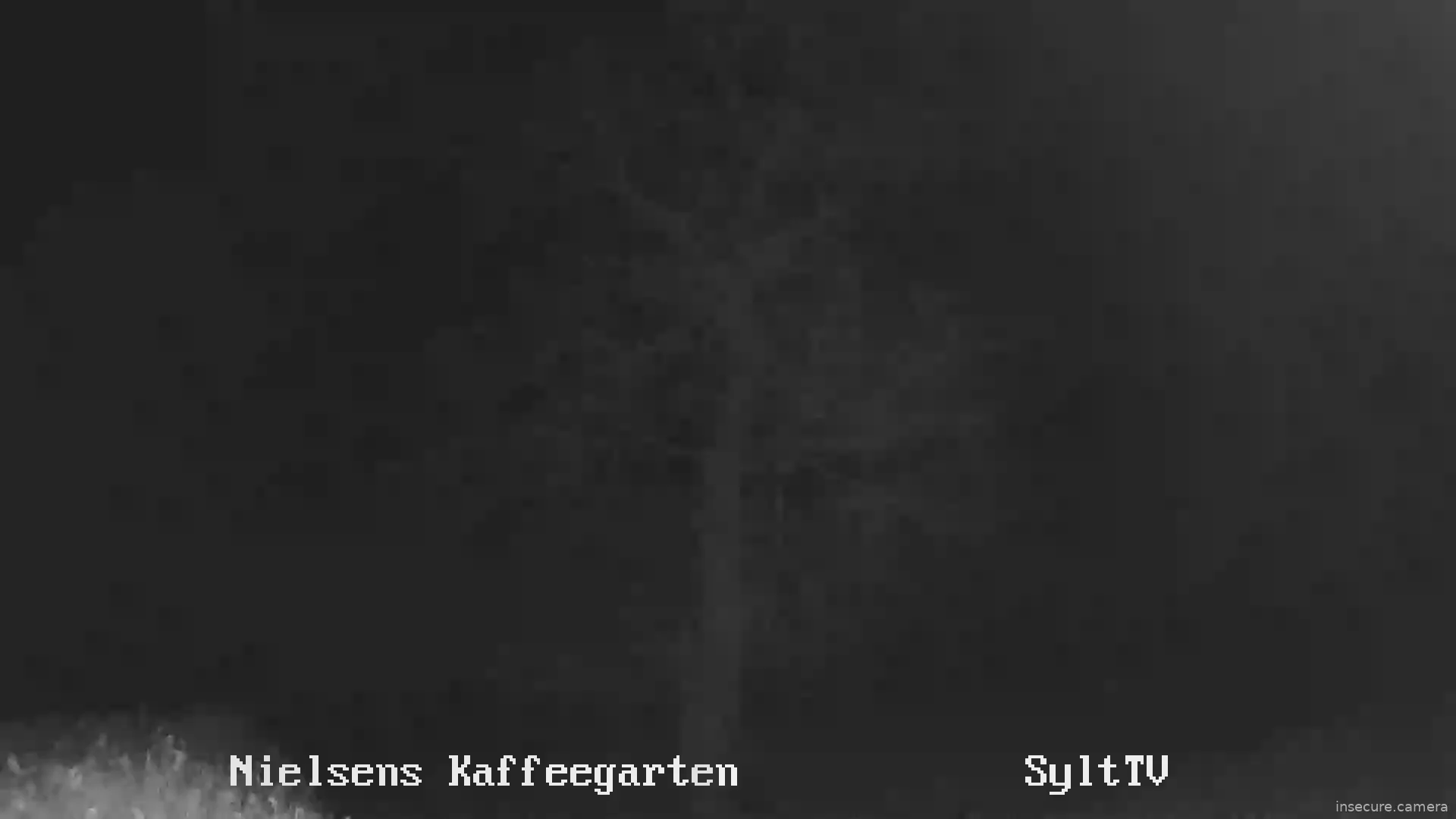 Capture from Feb 27, 2026 at 02:19 AM