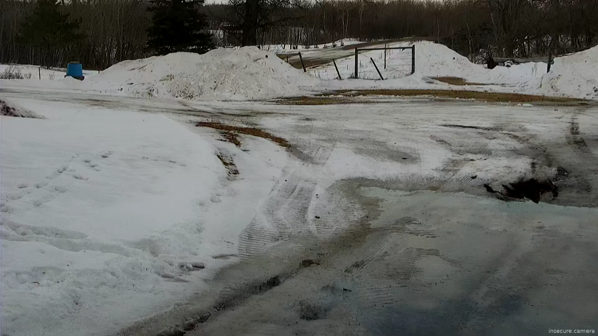 Camera in United States