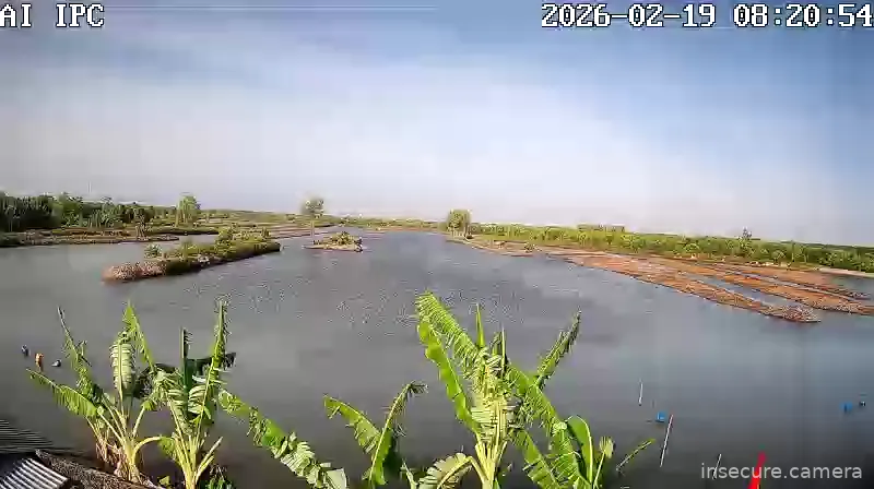 Capture from Feb 19, 2026 at 01:21 AM