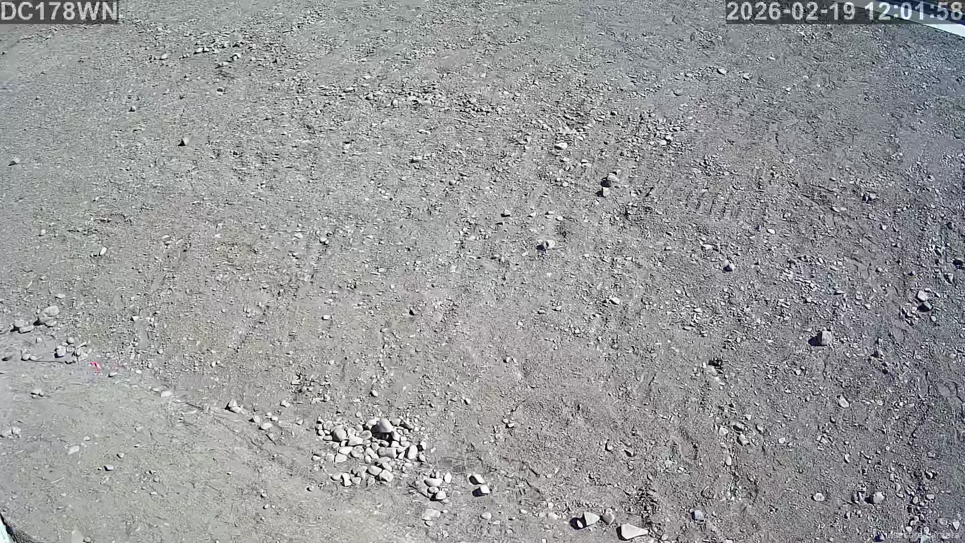 Capture from Feb 19, 2026 at 03:02 AM