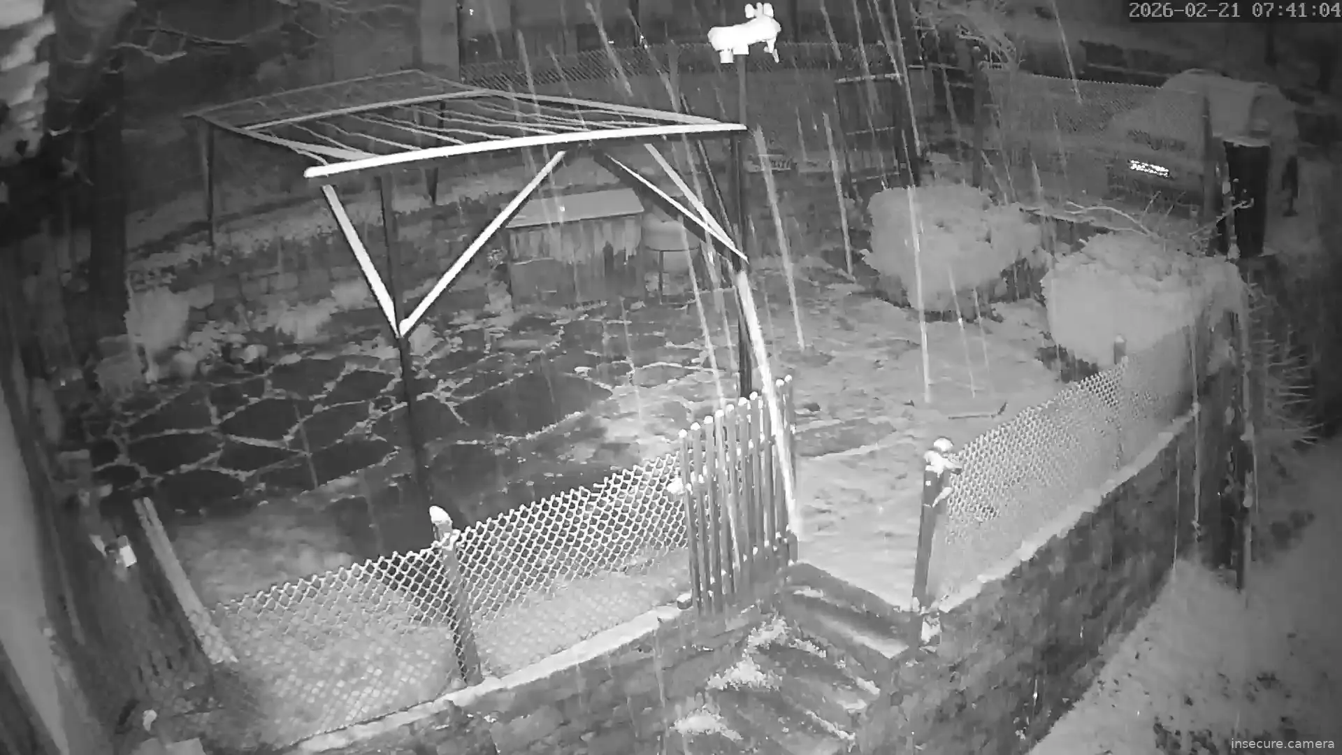 Capture from Feb 21, 2026 at 04:41 AM