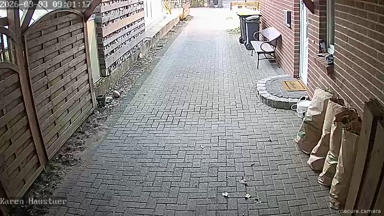 Capture from Mar 03, 2026 at 08:00 AM