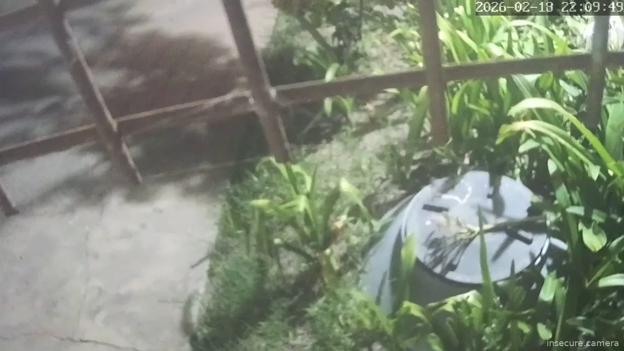 Capture from Feb 19, 2026 at 01:10 AM