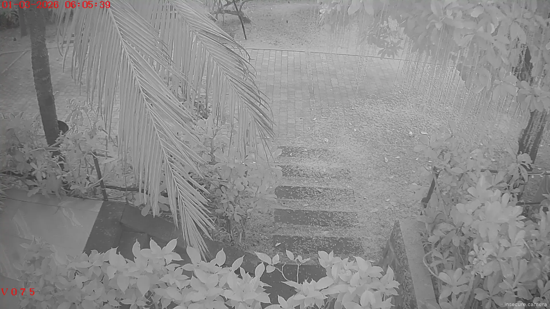 Capture from Feb 28, 2026 at 11:07 PM