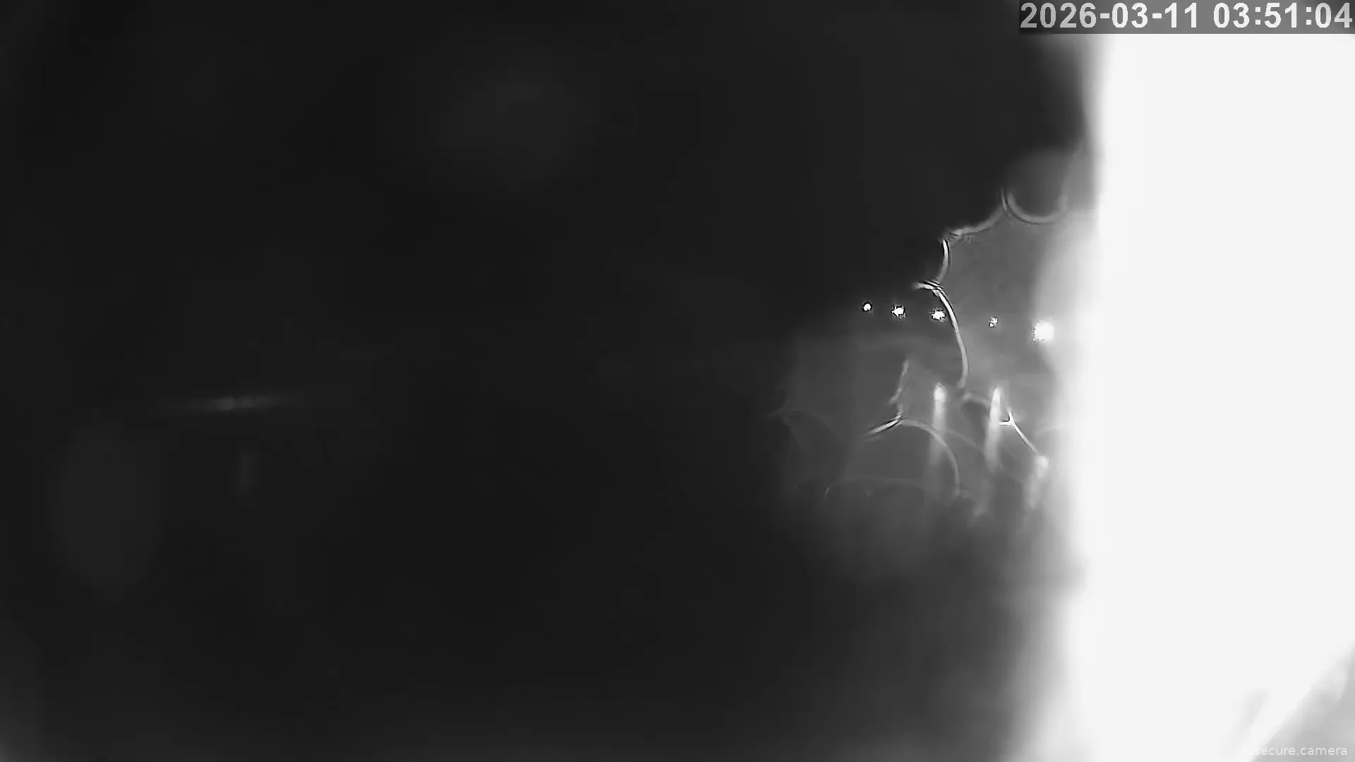 Camera in United States