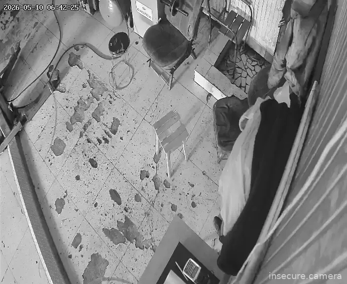 Capture from May 10, 2026 at 02:42 AM