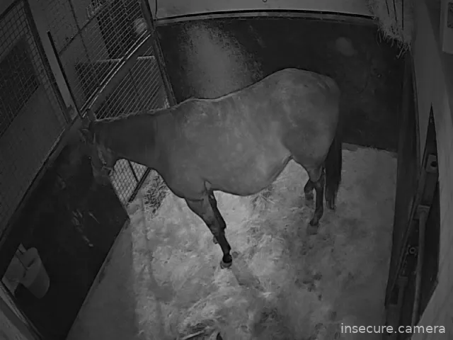 Capture from Mar 04, 2026 at 12:23 PM