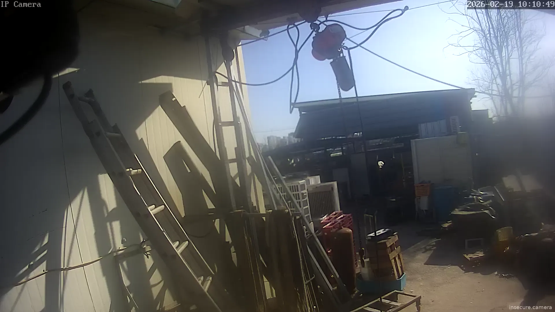 Capture from Feb 19, 2026 at 01:11 AM