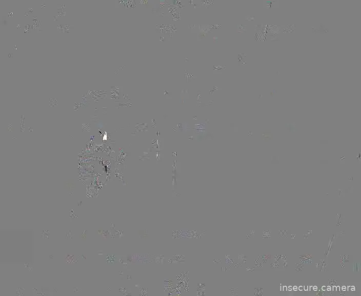Camera in Vietnam