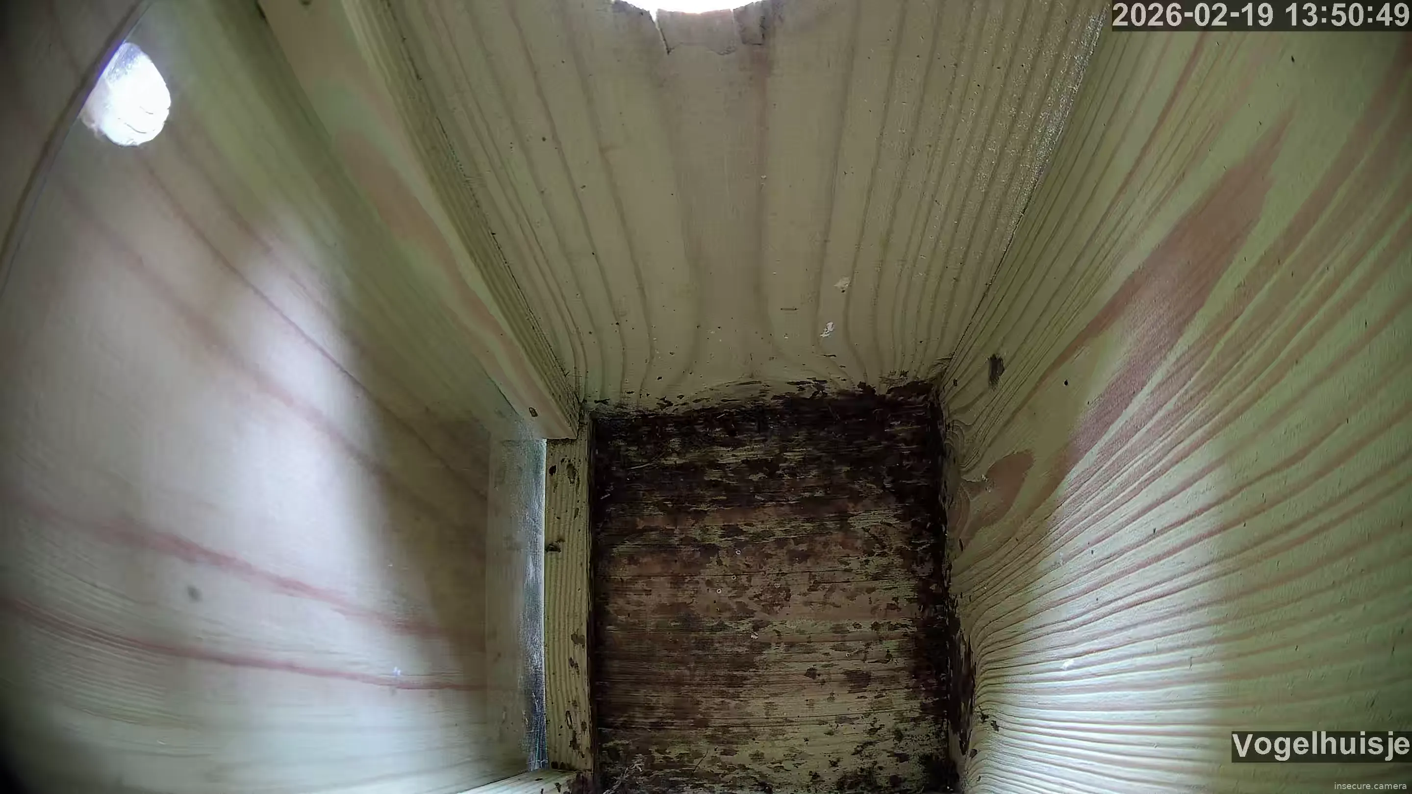 Capture from Feb 19, 2026 at 12:51 PM