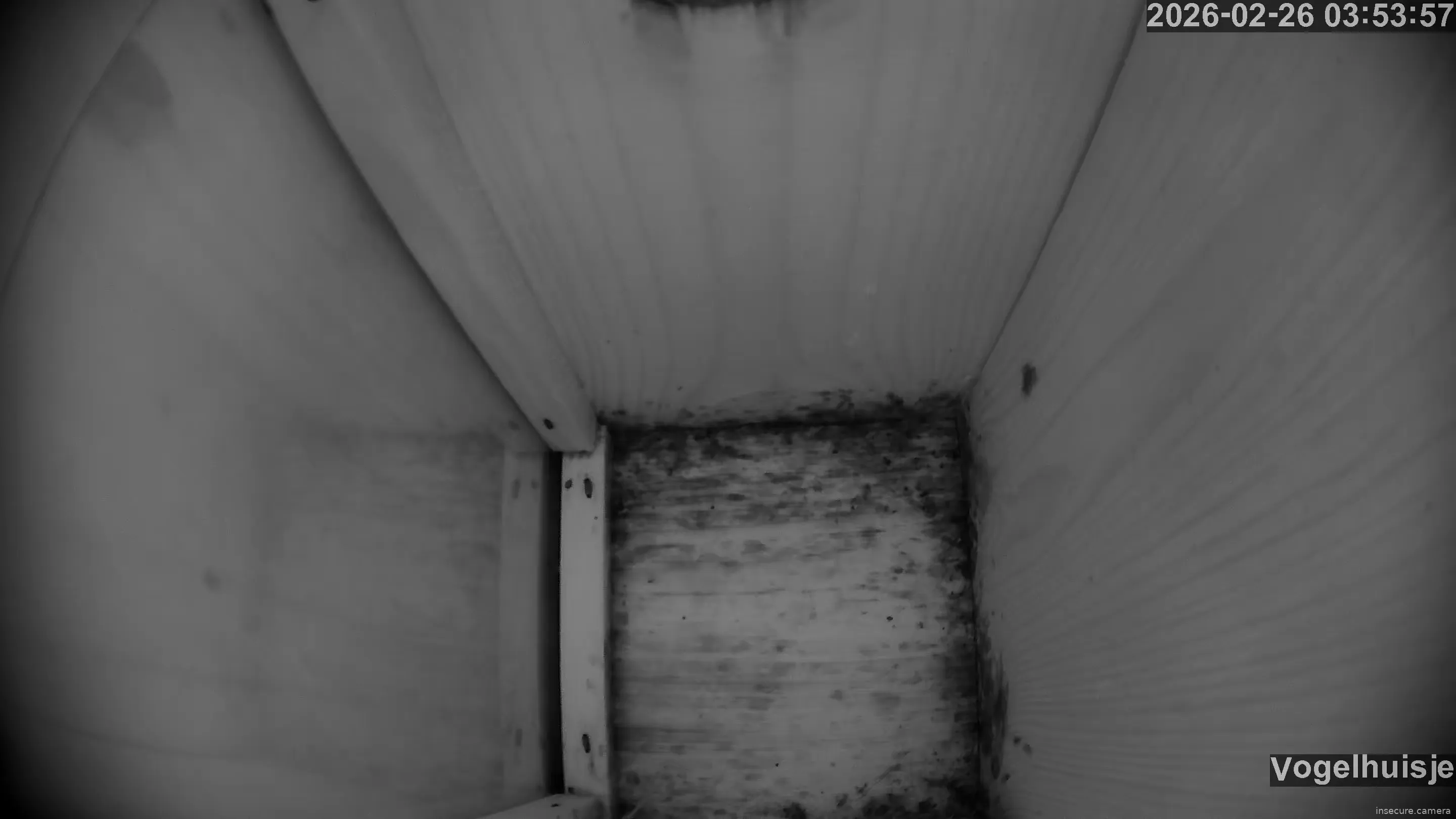 Camera in Netherlands