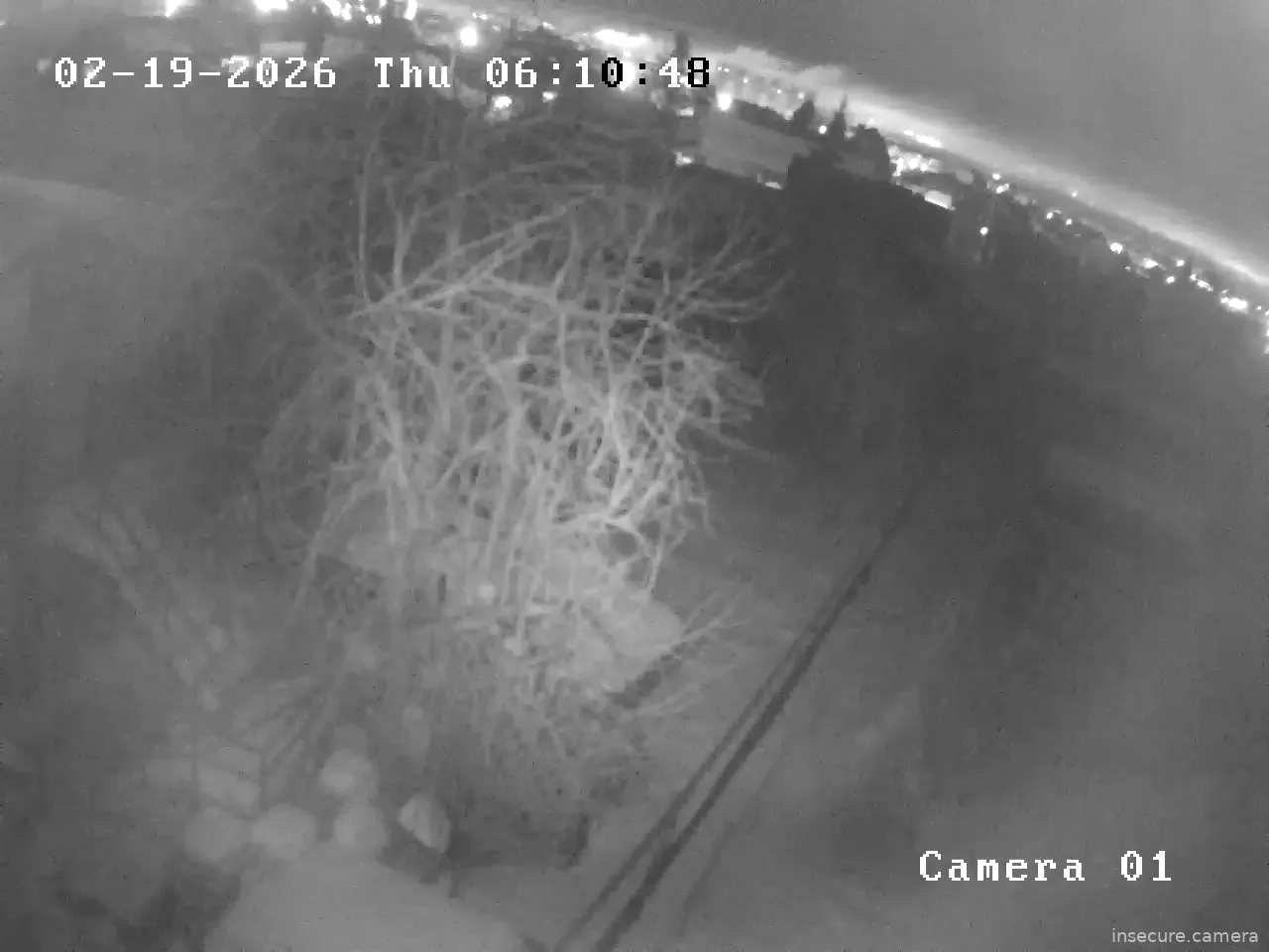 Capture from Feb 19, 2026 at 01:07 AM