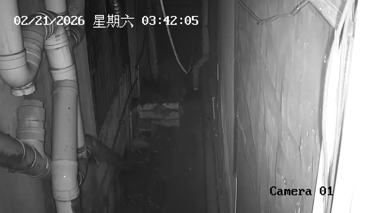 Capture from Feb 20, 2026 at 07:42 PM