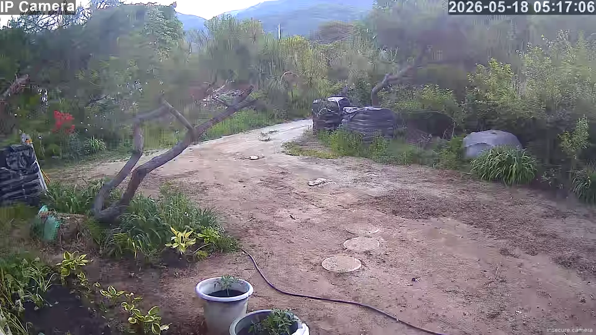 Capture from May 17, 2026 at 08:17 PM