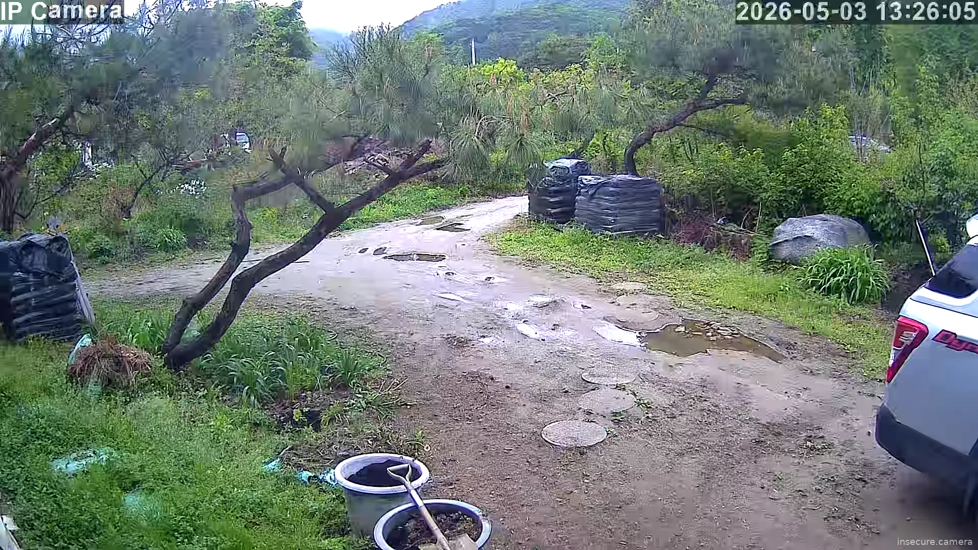 Camera in South Korea