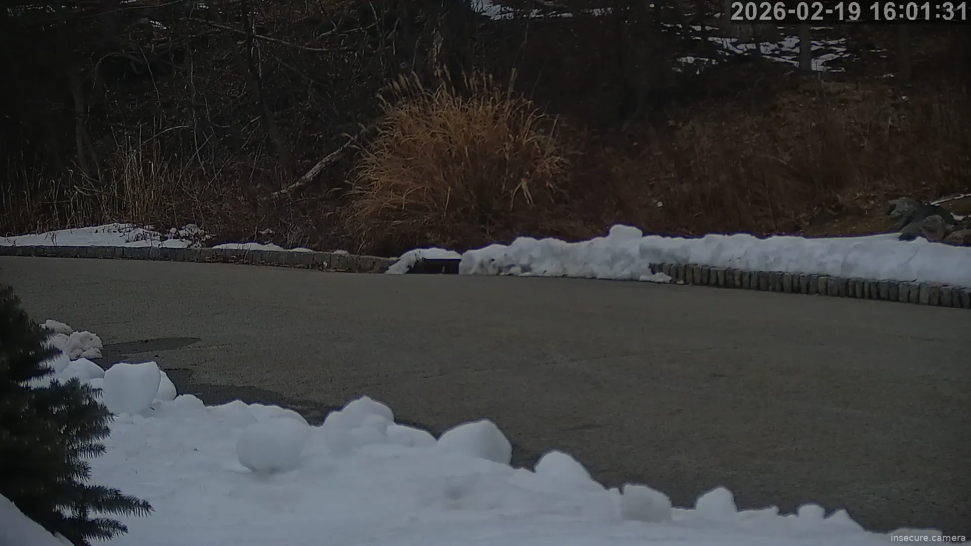 Capture from Feb 19, 2026 at 09:08 PM