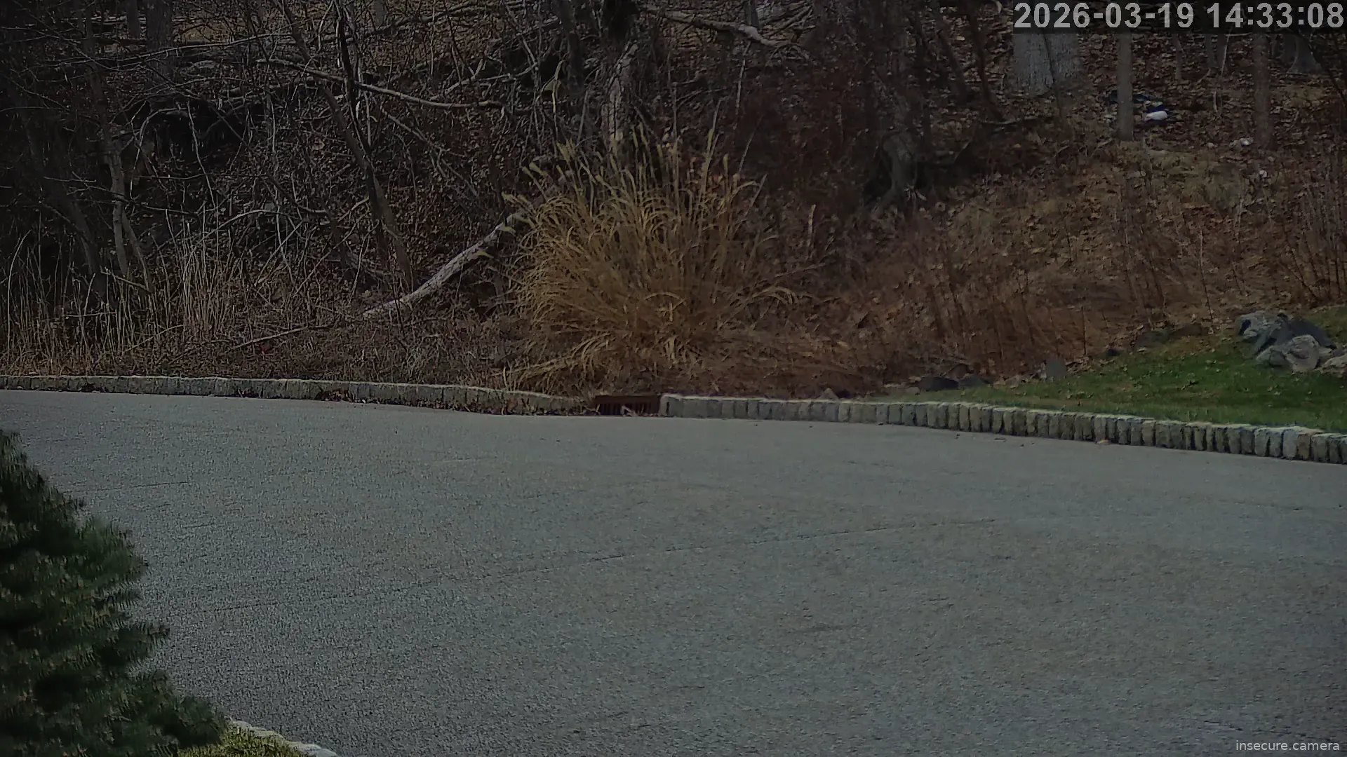 Capture from Mar 19, 2026 at 06:41 PM