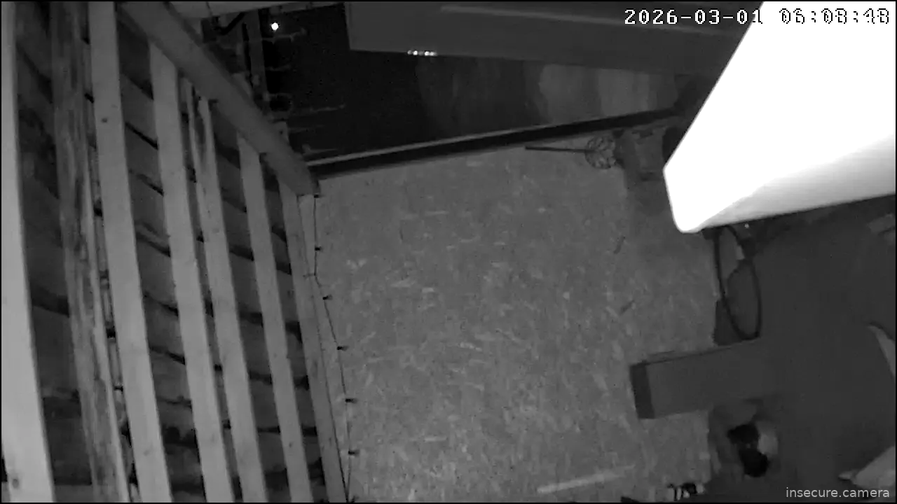 Capture from Mar 01, 2026 at 01:09 AM