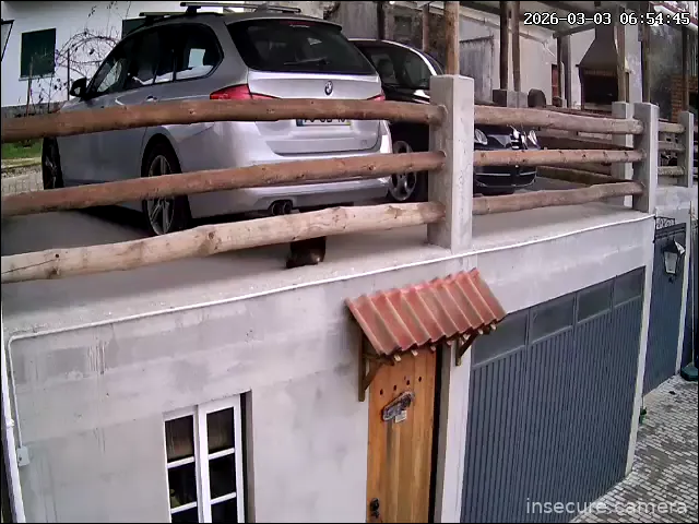 Capture from Mar 03, 2026 at 06:54 AM