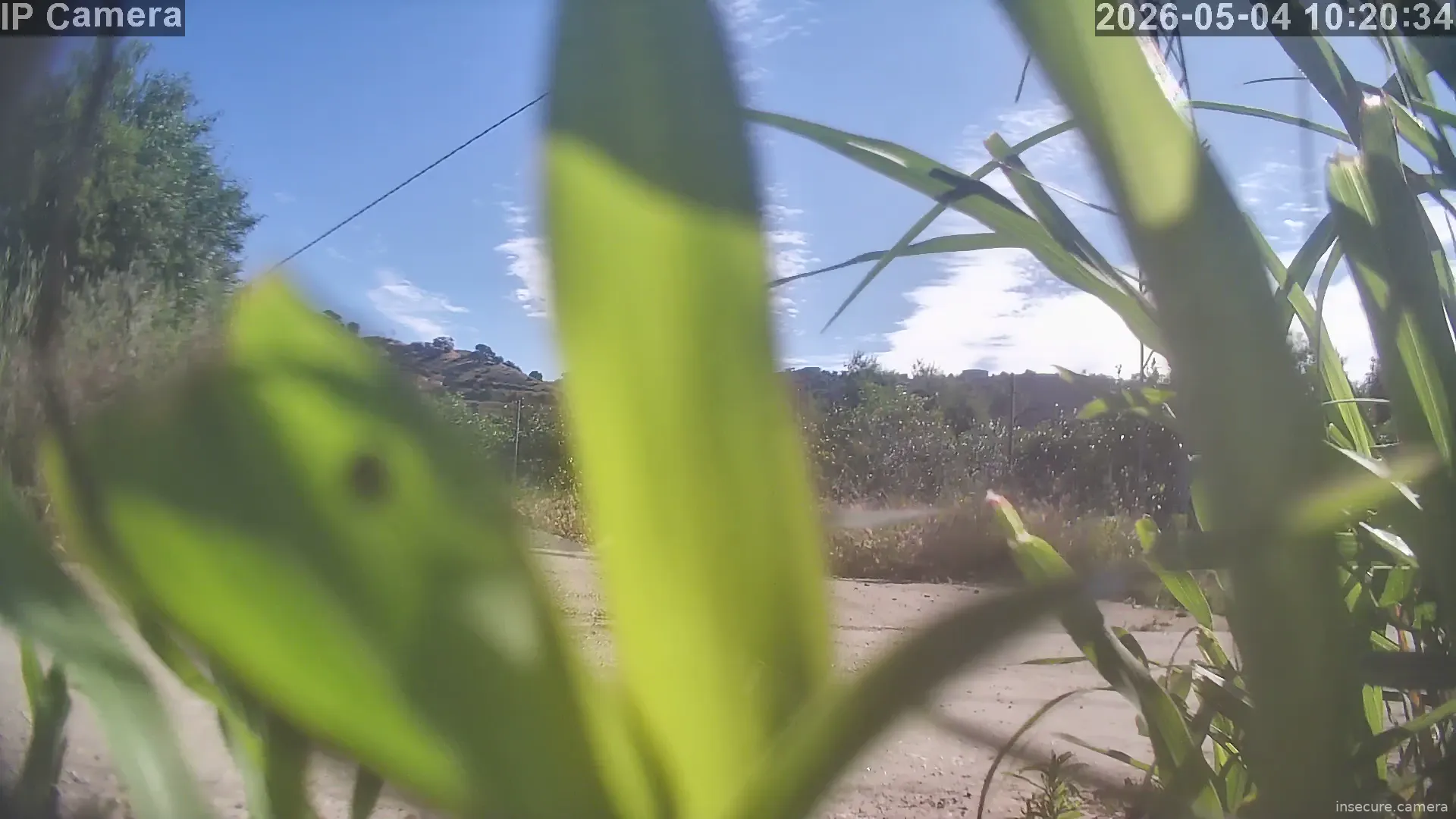 Camera in Spain