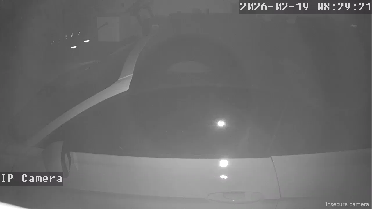 Capture from Feb 19, 2026 at 12:29 AM