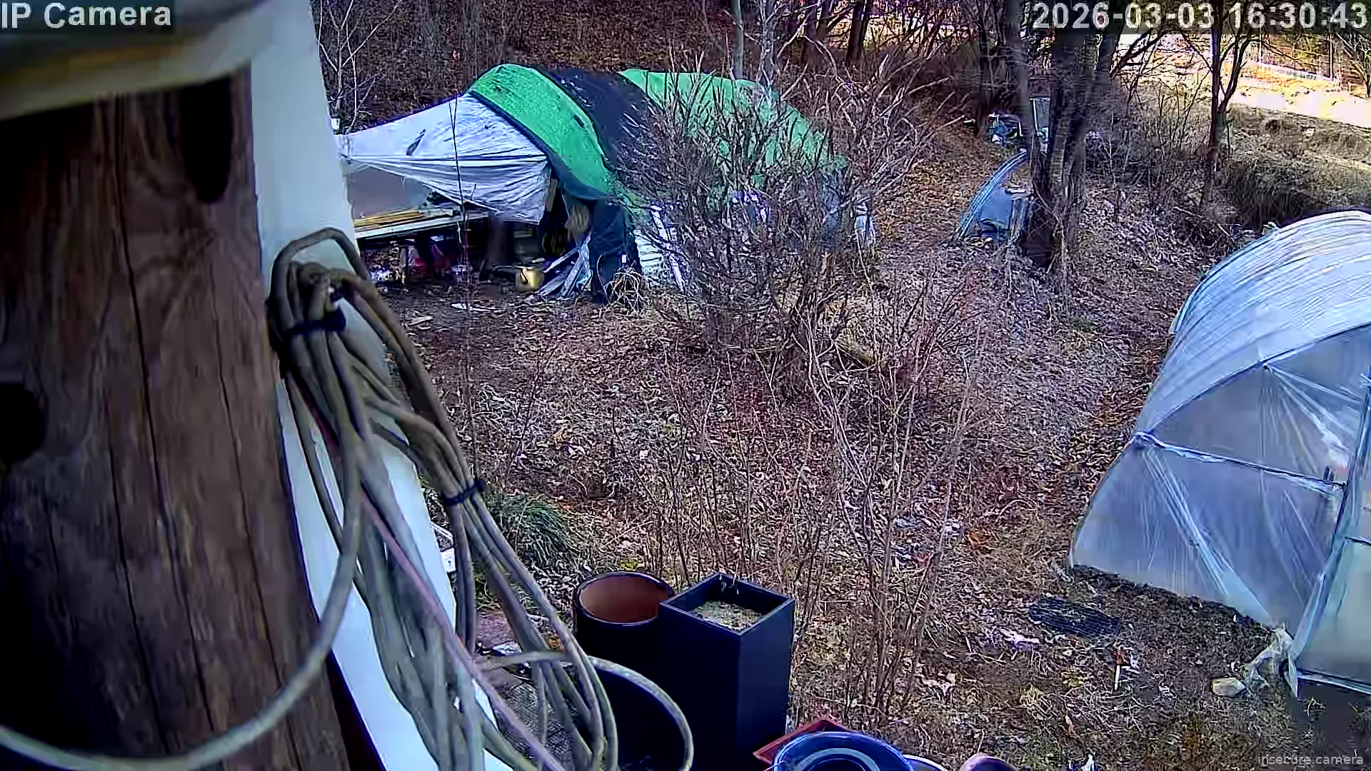 Capture from Mar 03, 2026 at 07:31 AM