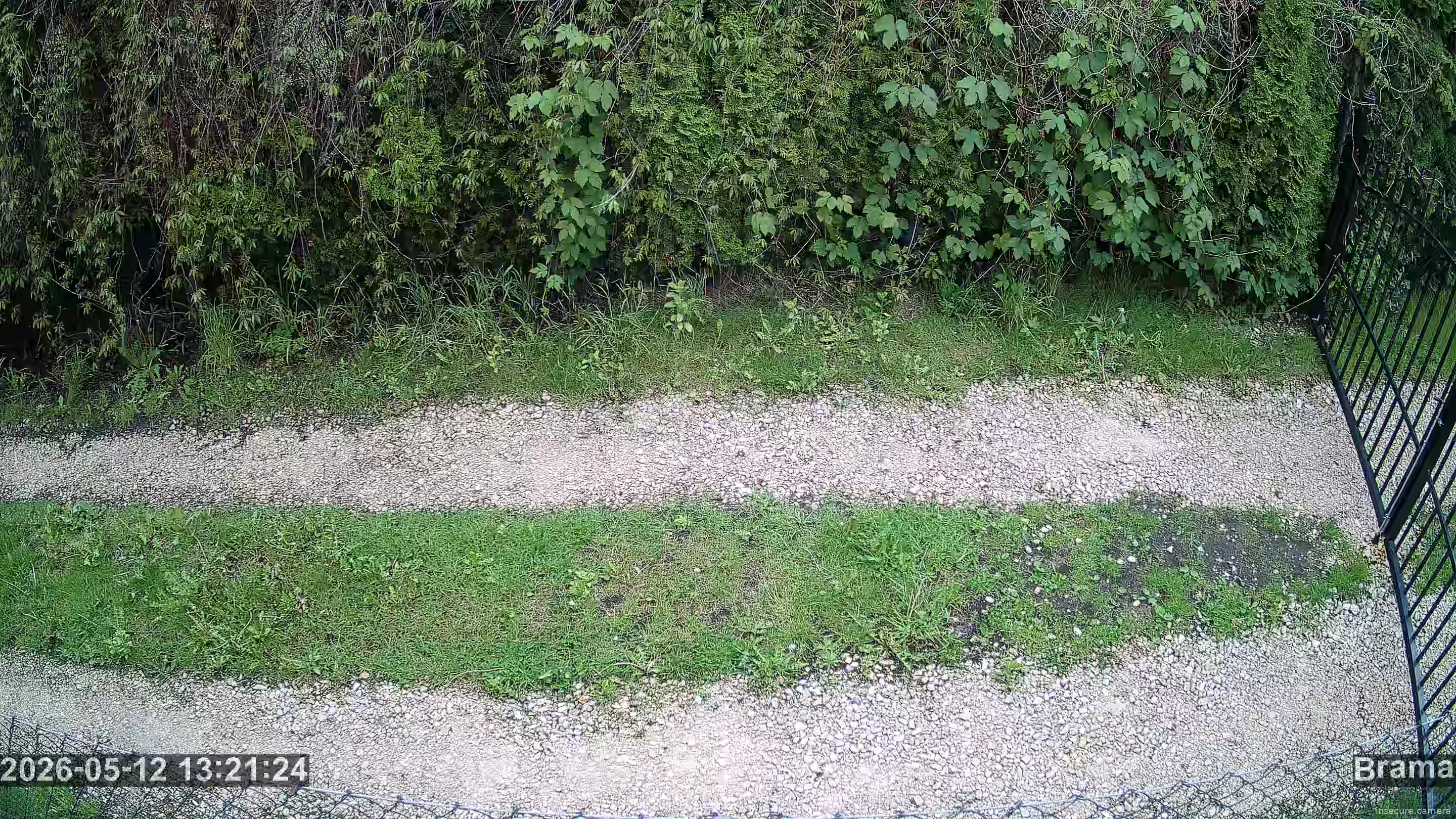 Capture from May 12, 2026 at 11:21 AM