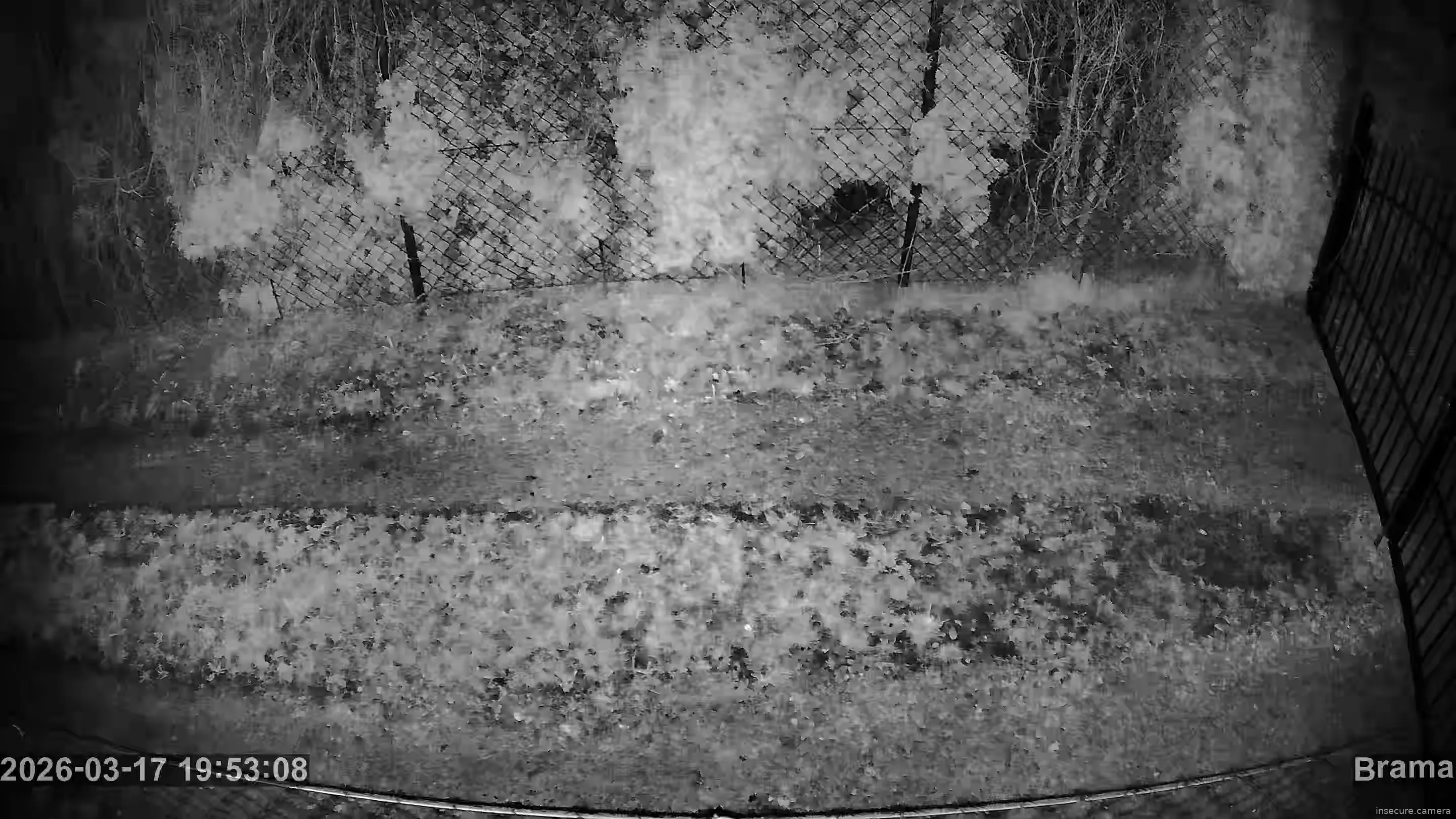 Capture from Mar 17, 2026 at 06:53 PM