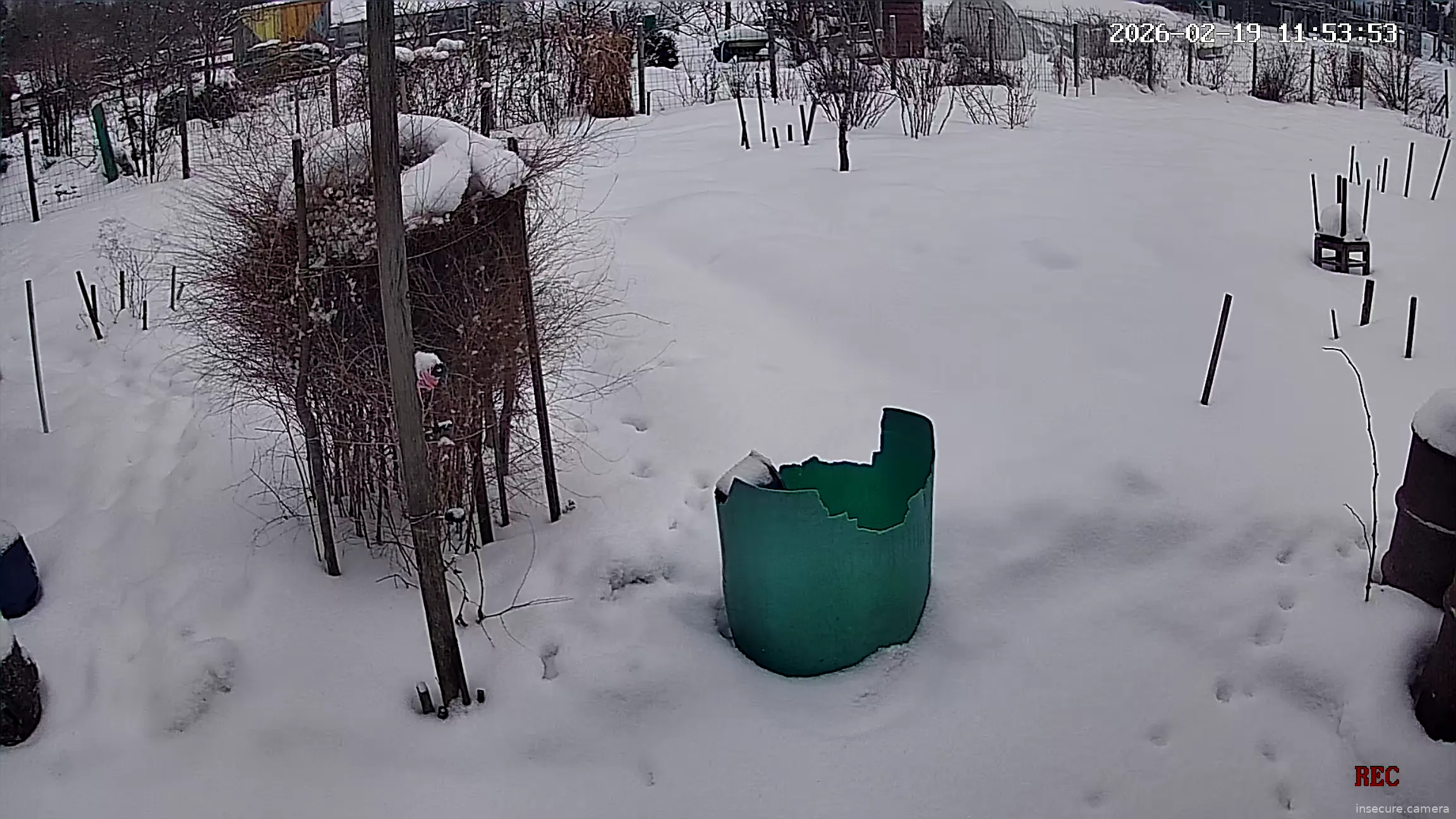 Capture from Feb 19, 2026 at 09:54 AM