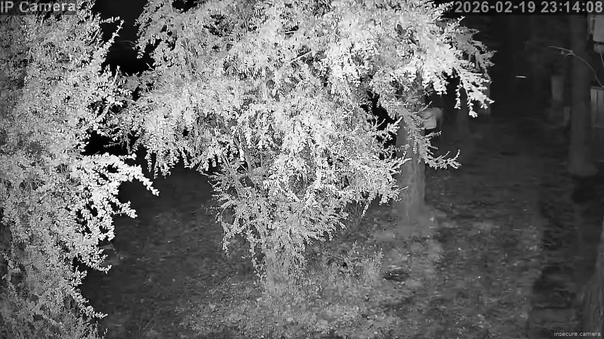 Capture from Feb 19, 2026 at 10:14 PM