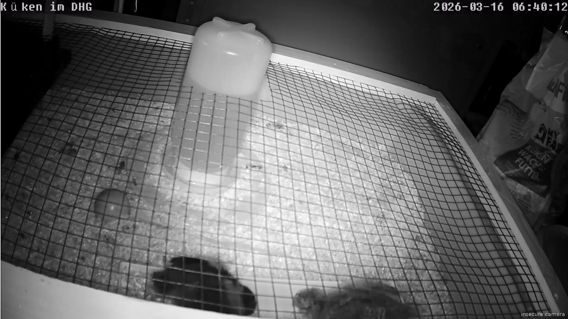 Capture from Mar 16, 2026 at 05:40 AM