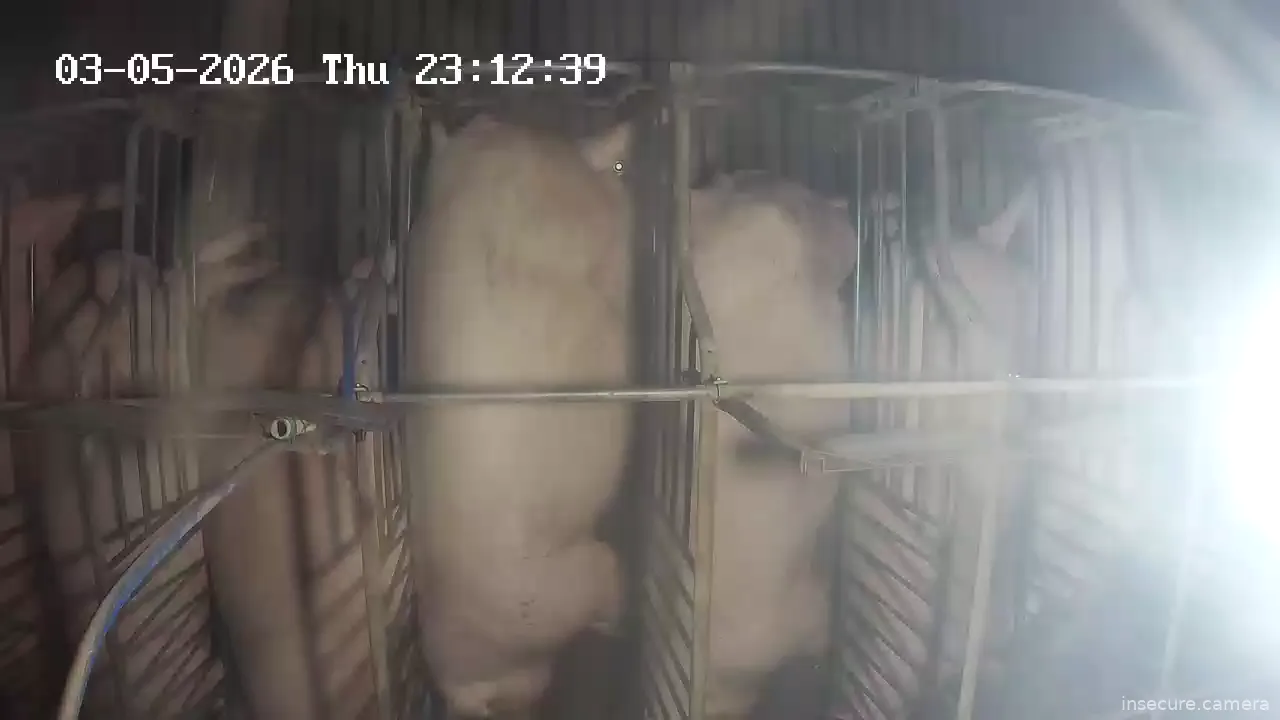 Capture from Mar 05, 2026 at 02:46 PM