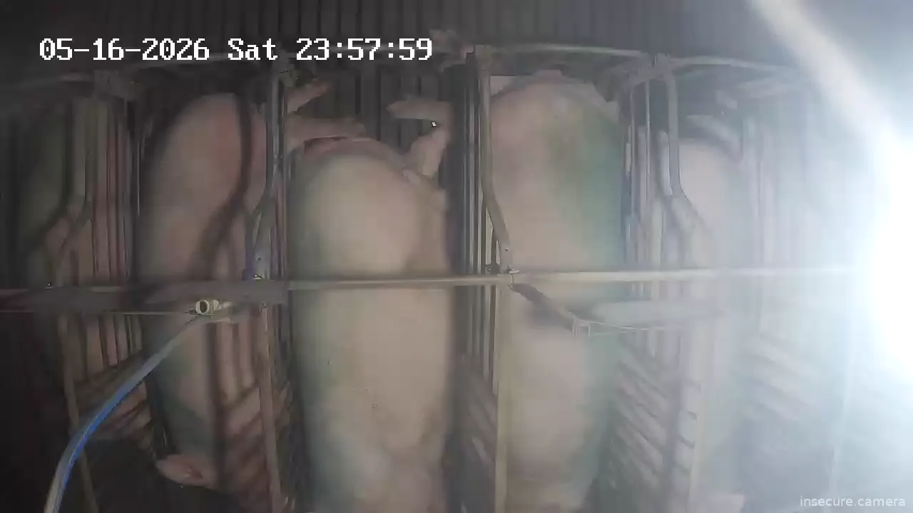Capture from May 16, 2026 at 03:32 PM
