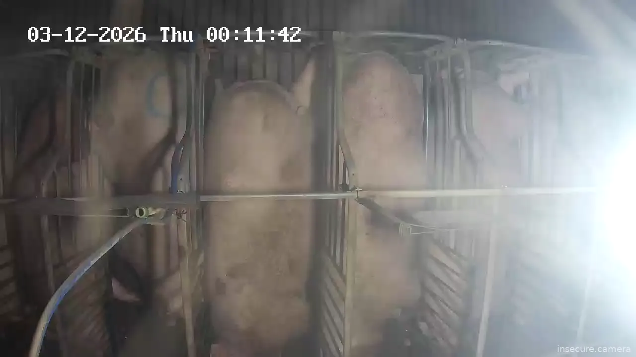 Capture from Mar 11, 2026 at 03:46 PM