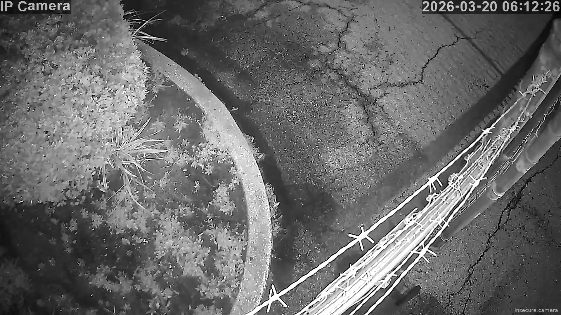 Camera in United States