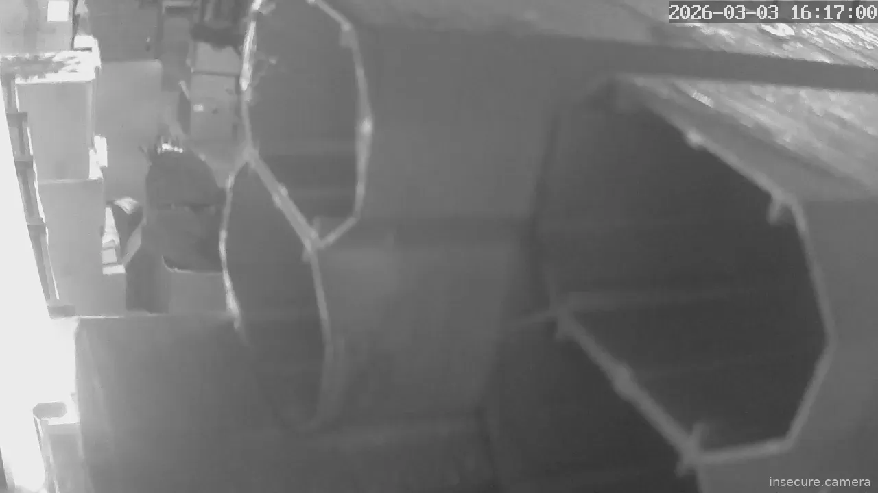 Capture from Mar 03, 2026 at 08:17 AM