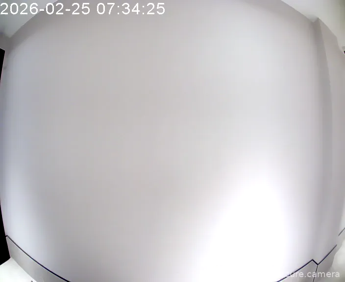 Capture from Feb 25, 2026 at 12:34 PM