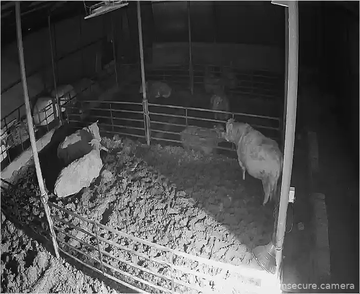 Capture from Feb 27, 2026 at 04:47 PM