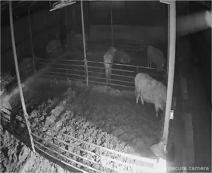 Camera in South Korea