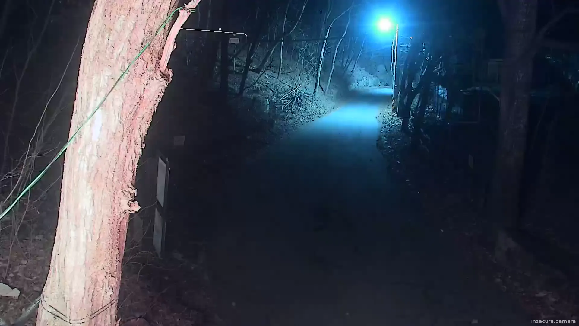 Capture from Feb 21, 2026 at 12:05 PM