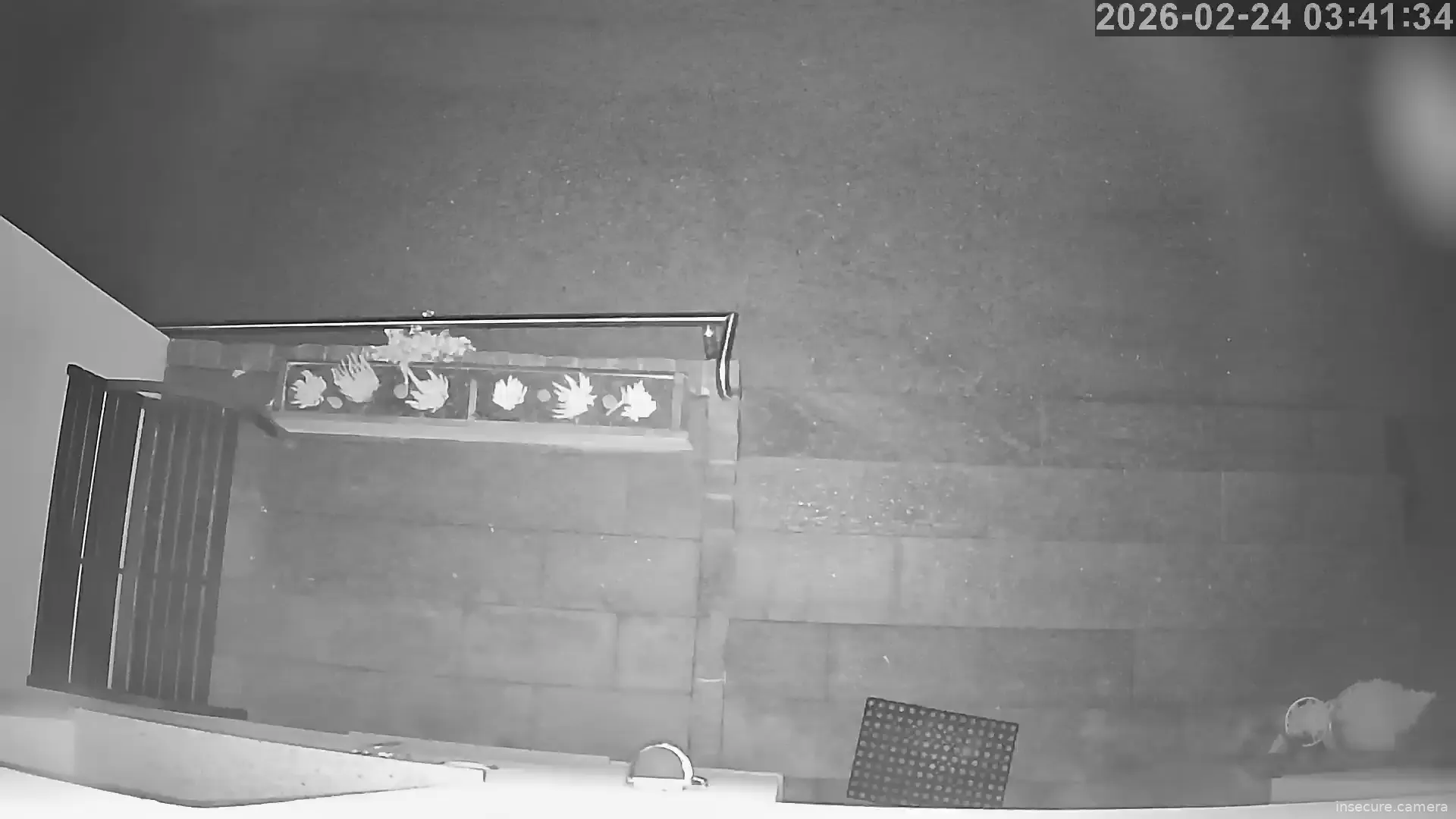 Capture from Feb 24, 2026 at 01:41 AM