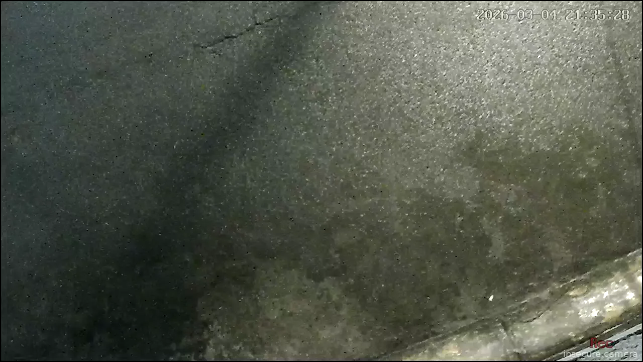 Capture from Mar 05, 2026 at 03:35 AM